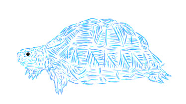 Tortoise