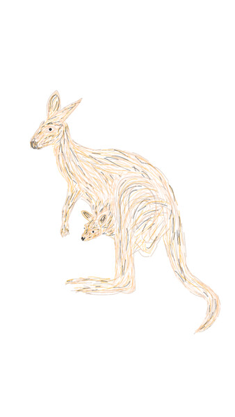 Kangaroo